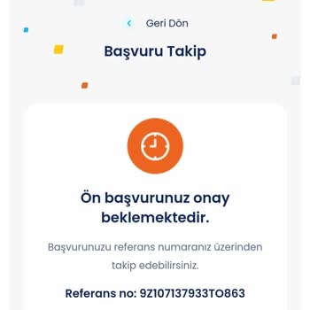 Paytr Kayıt Sorunu, Ön Onayı Aşamıyorum!