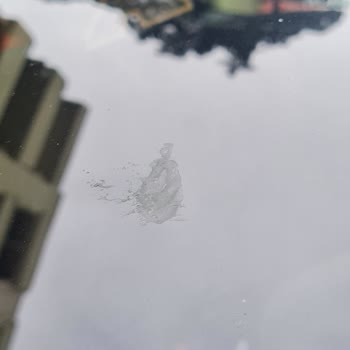 Dad Clinique Asla Gidilmemesi Gereken İr Oto Yıkamacı