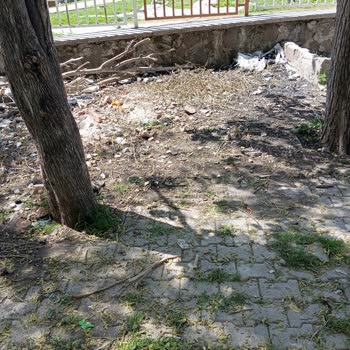 Milli Eğitim Bakanlığı (MEB) Şikayetçiyim Okulun Temizliğinden