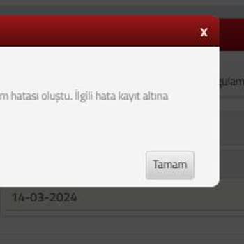 Gelir İdaresi Başkanlığı E Arşiv Fatura Sorgulama Hatası