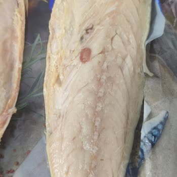 Erba Sea Food Balıkları Hastalıklı Yemeyin