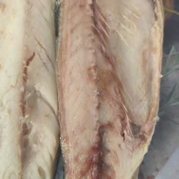 Erba Sea Food Balıkları Hastalıklı Yemeyin