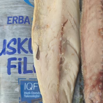 Erba Sea Food Balıkları Hastalıklı Yemeyin