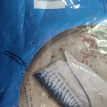 Erba Sea Food Balıkları Hastalıklı Yemeyin