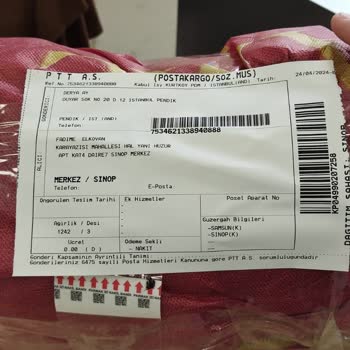 Dolap Ve Çingeneliği