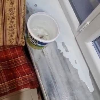 Pimapen Ürününe Sahip Çıkmıyor