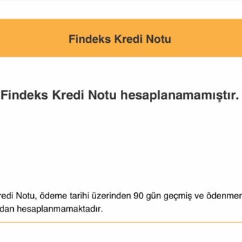 Findeks Kredi Puanımı Hesaplamıyor Ödediğim Borçlar Takipte Gözüküyor