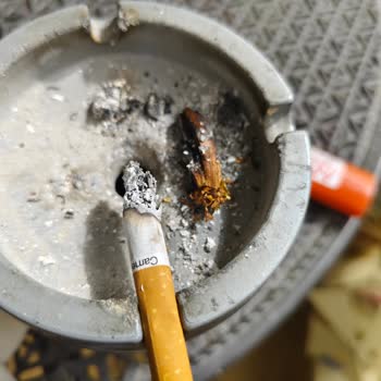 Camel İçinden Odun Çıktı