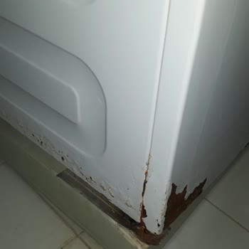 Beko Küflü Ve Çürümeye Başlayan Çamaşır Makinesi