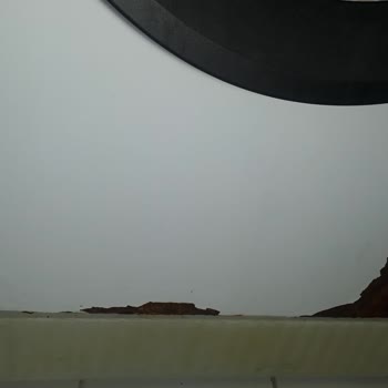 Beko Küflü Ve Çürümeye Başlayan Çamaşır Makinesi