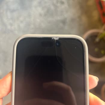 Blueo Gorilla Ekran Koruyucu Hk.