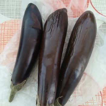 Arçelik274581 Eı74cm Inox