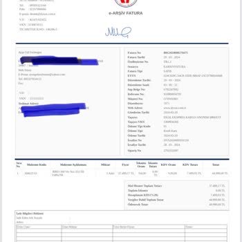 Dyson 360 Vis Nav Robot Fatura Sorunu