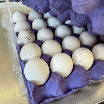 Şok Marketler Aldığım Ürünün Değişimi Yapılmadı