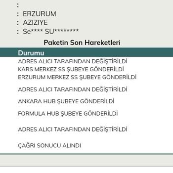 UPS Türkiye Erzurum Kargo Kayıp