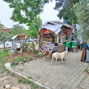 İzmir Gaziemir Belediyesi Görüntü Kirliliği Ve Uygunsuz Bir Yapı