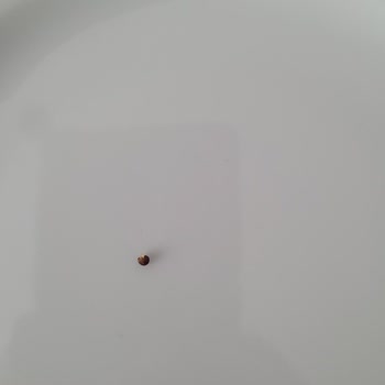 BİM Kelle Y Marka Yulaf Kepeği