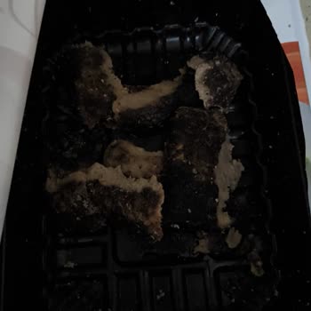 A101 Baştacı Döner Şikayet