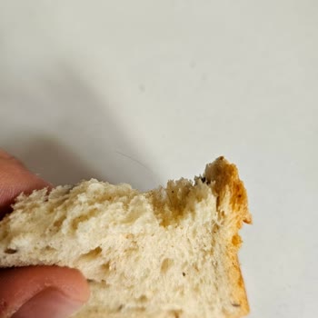 Uno Ekmek İçinden Kıl Çıktı