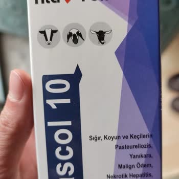 Tarım Ve Orman Bakanlığı Hayvan Sağlığındaki Endişe Verici Durum
