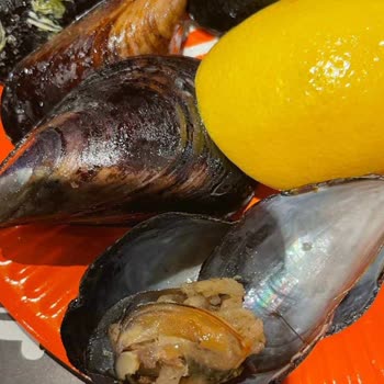 Midyeci Ahmet Hayal Kırıklığına Uğrattı