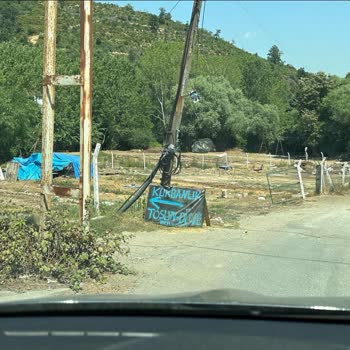 Arnavutköy Belediyesi Kaçak Hayvan Satışı Ve Sokak Kirliliği
