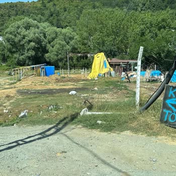 Arnavutköy Belediyesi Kaçak Hayvan Satışı Ve Sokak Kirliliği