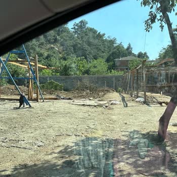 Arnavutköy Belediyesi Kaçak Hayvan Satışı Ve Sokak Kirliliği