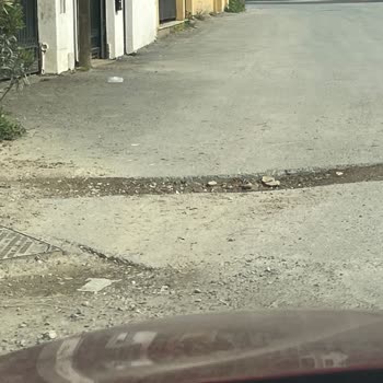 Tuzla Belediyesi Tuzla Postane Mahallesi Sokaklarındaki Yol Ve Temizlik Sorunları