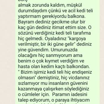 Filelog Kedi Filesi Ödeme Yaptım, Ürün Gelmedi, Telefon Ve Mesajlara Cevap Verilmiyor!