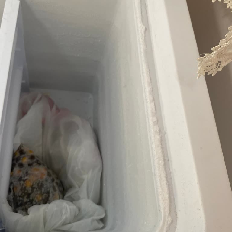 Uğur Soğutma Derin Dondurucu Bozuk Çıktı