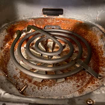 Electrolux Airfrey Çöp Oldu