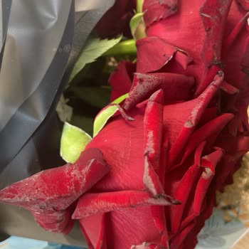 ÇiçekSepeti Hediye Buketin Beklentileri Karşılamaması Üzerine