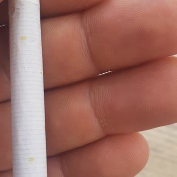 Philip Morris Yeşil Renkli Boyalar