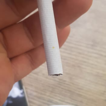 Philip Morris Yeşil Renkli Boyalar