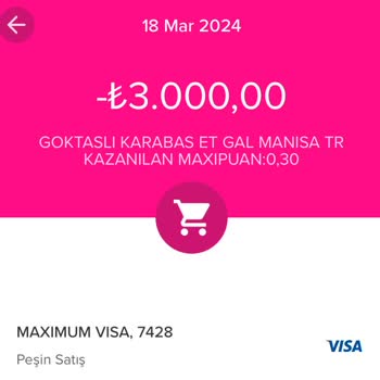 İş Bankası Yüksek Sepet Kampanyası Kazanımım Maximum Puanımı Yatırmadı