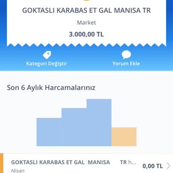 İş Bankası Yüksek Sepet Kampanyası Kazanımım Maximum Puanımı Yatırmadı