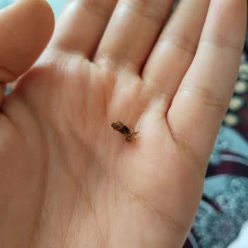 BİM Kalite Kontrolde Dikkat Edilmesi Gerekenler