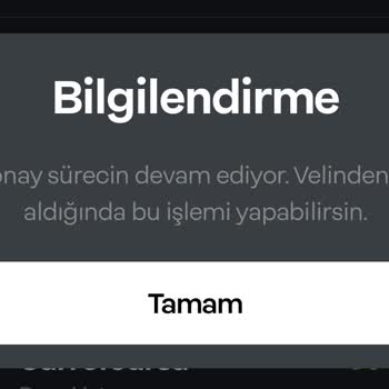 Papara Kart Veli Onayı