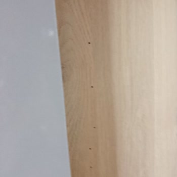 Mondi Home Aşırı Derecede Delik Var