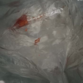 Ruffles Ketçaplı Cips Sürprizi: Beklenmedik Misafir!