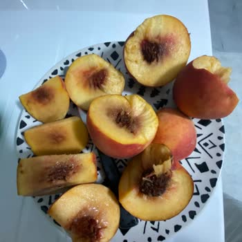 Eki aç
