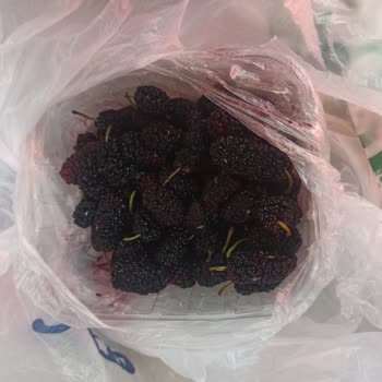 Ergani Gimart Bozuk Ürün