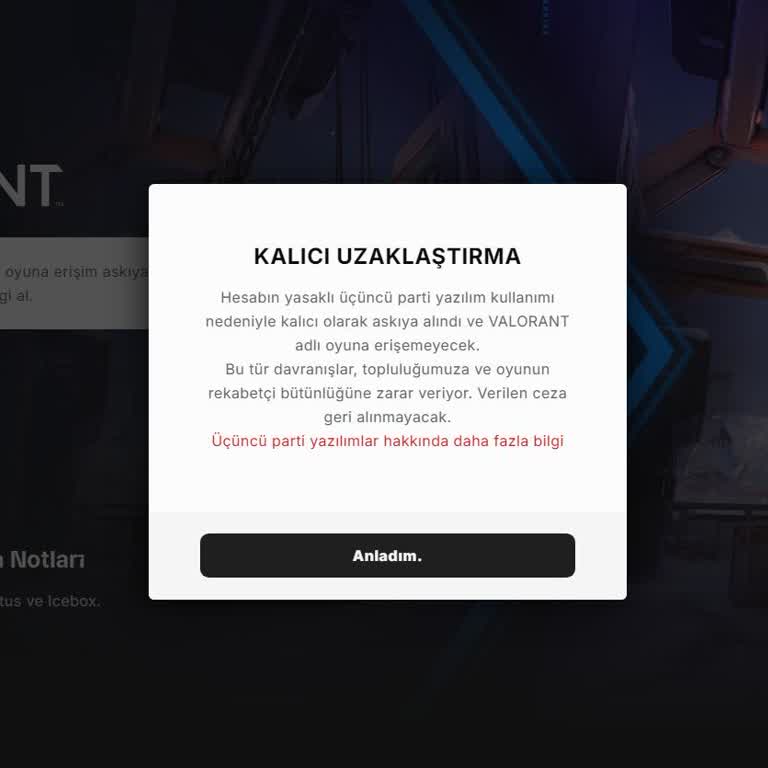 Valoskin.com 10-100 Skin Arası Random Hesap