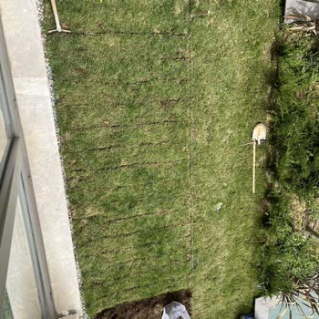 Fms Site Yönetimi Muhit Ortak Alan İhlali!