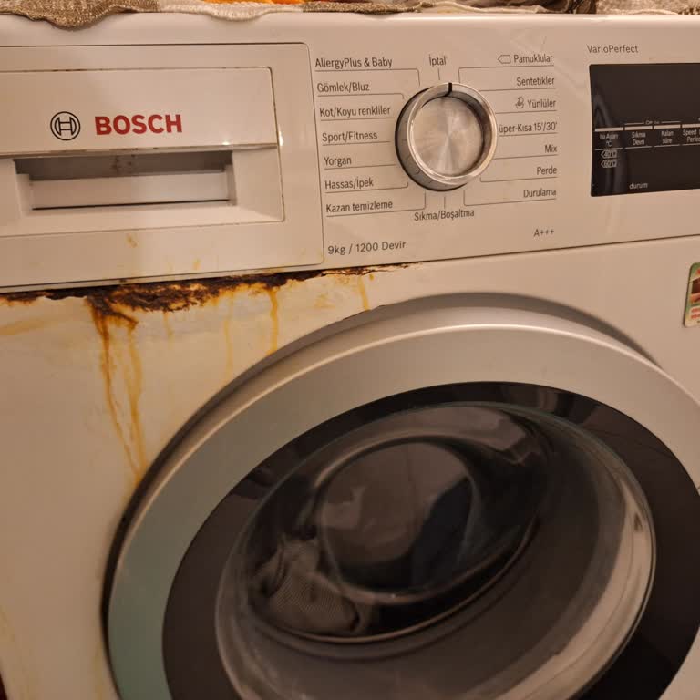 Bosch Çamaşır Makinesi Çürüme Problemi