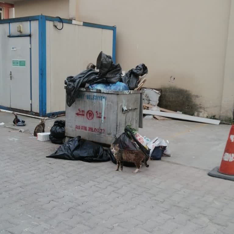 İzmit Belediyesi İzmit Belediye Çöpleri Almıyor Kokudan Mahalleye Girilmiyor.