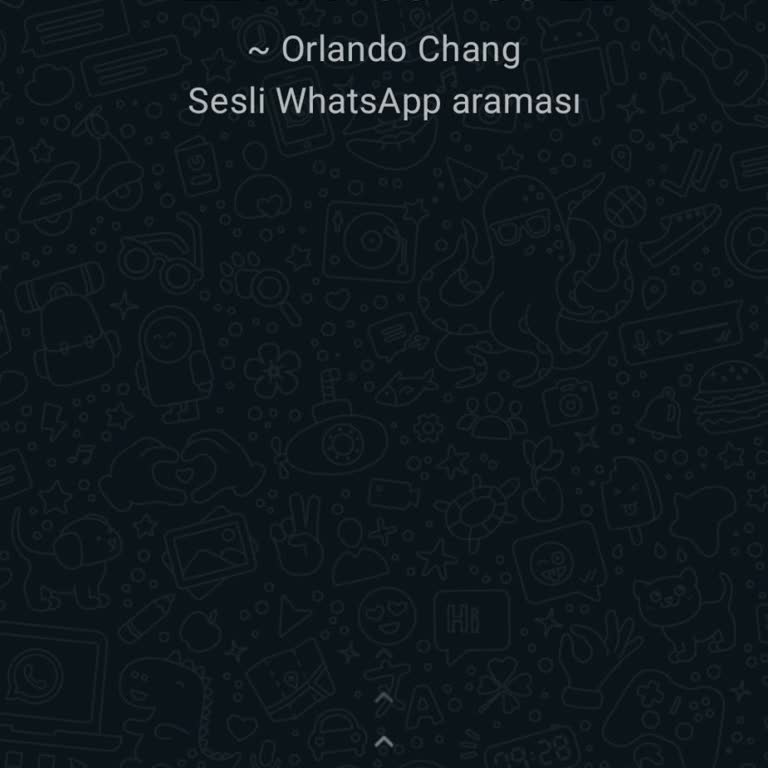 WhatsApp Tanınmayan Yurt Dışı Aramalar