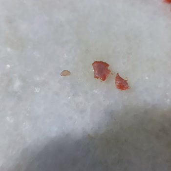 Ahmet İpek Sucukları Sucukta Kıkırdak Lif Doku