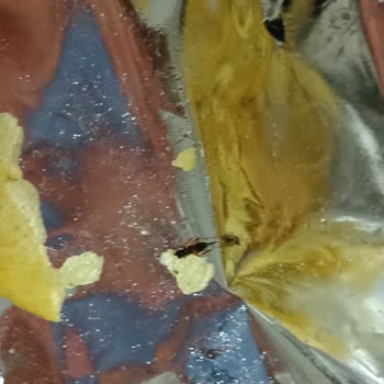 Lays Cipsi İle İlgili